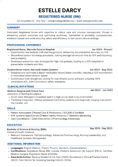 Professional CV Sample 63